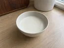Light Coconut Milk