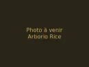 Whole-Grain Arborio-Style Rice